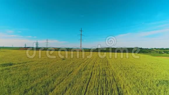在多云的夏季金色的成熟麦田和农舍中的乡村景色视频的预览图