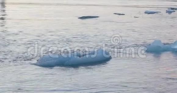 冰川泻湖Jokulsarlon与海豹游泳视频的预览图