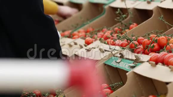 超市里的购物者会在一堆堆西红柿上挑选新鲜的西红柿瓦楞纸板箱视频的预览图