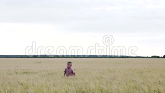 慢动作快乐的小男孩跑过田野视频的预览图