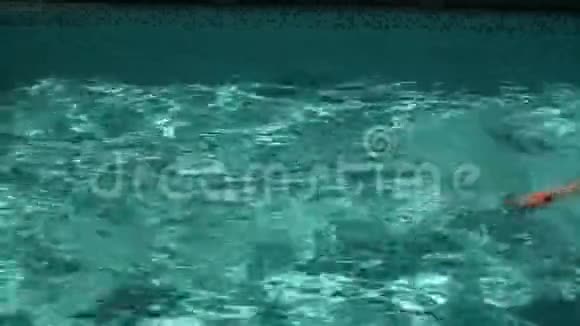 泳池里有专业游泳运动员视频的预览图