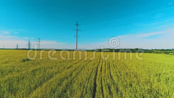 在阳光充足的绿黄麦农村地区靠近高压电线杆和电力线的活动飞行视频的预览图