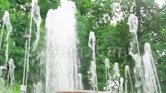 城市公园喷泉的喷泉跳动视频的预览图