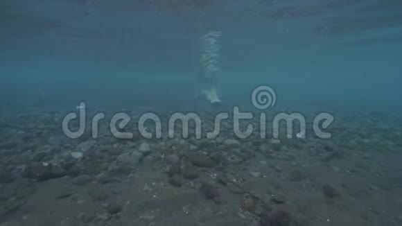 坐在海底的年轻女子一个女孩在透明的海水中行走水在波浪中水下视频的预览图