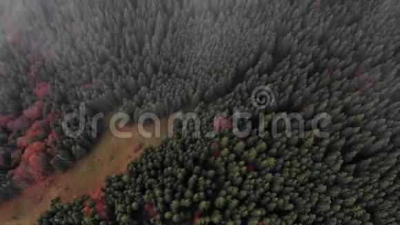 从无人驾驶飞机到喀尔巴阡山雾中的山谷和秋天森林的景色视频的预览图