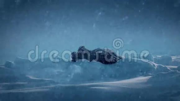 雪中奇怪的外星物体视频的预览图