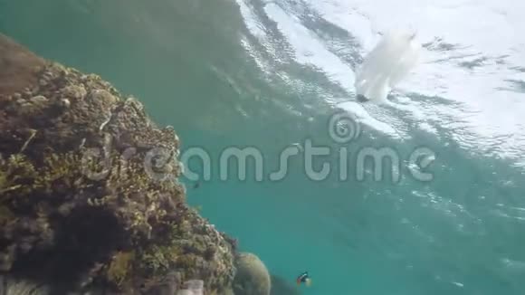 塑料袋旁边的珊瑚礁在海洋中水下射击环境污染视频的预览图