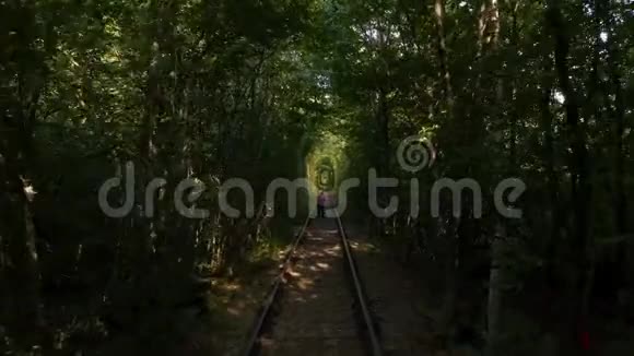 乌克兰的爱情隧道一个独特的旅游景点在茂密的森林中形成拱门视频的预览图