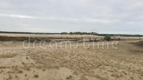 沙丘景观与一些植被视频的预览图