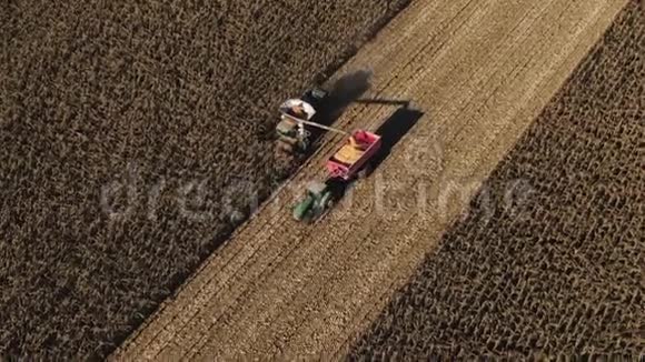 拖拉机和农机在秋天收获玉米工业农田完成季节性工作黄金玉米粒视频的预览图