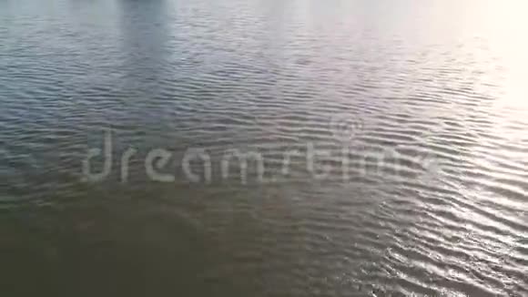 飞过平静的湖面4K视频的预览图
