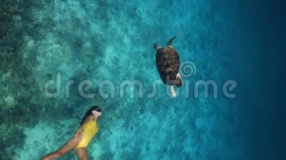 可爱的女孩和乌龟在一起游泳繁殖和接触动物录像是用视频的预览图