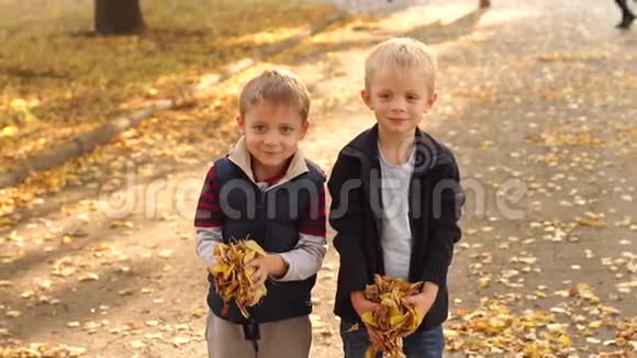 两个快乐的小男孩在秋天公园里扔黄叶孩子们在公园里视频的预览图