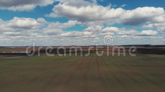 照相机正飞过田野从鸟瞰美丽农田镜头空中观景4K视频的预览图