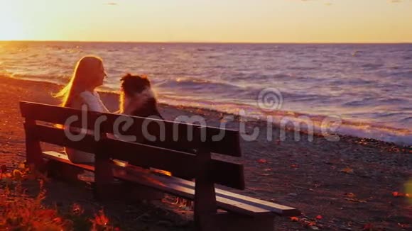 年轻女子在公园里和她的澳大利亚牧羊犬玩耍坐在一张长凳上背景是橙色的天空视频的预览图