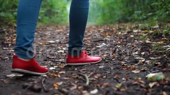 女足穿着红色运动鞋穿过秋天的森林在大自然的一片覆盖着干燥落叶的土地上视频的预览图
