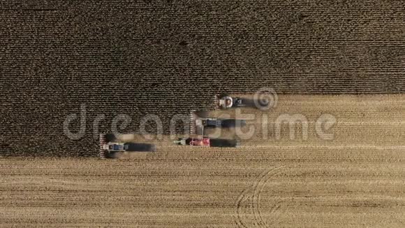 秋天收获玉米三台收割机在田间工作联合收割机农业机械收集视频的预览图