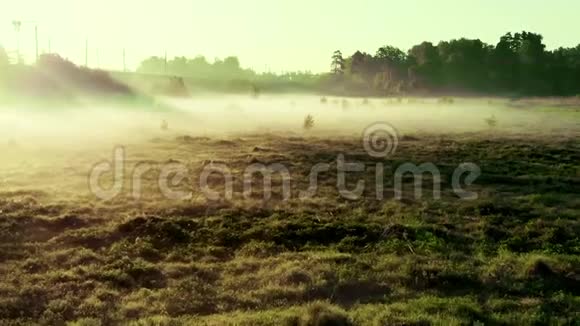 日出时的雾在耀眼的阳光下嬉戏跨过四翼型视场视频的预览图
