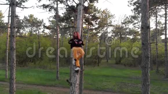 松林松树上躺着一个活泼好动的红发女孩的空中飞射视频的预览图