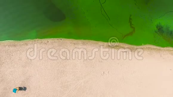 半沙滩半水被绿藻污染的空中自上而下视频的预览图