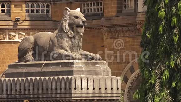 印度有一座狮子雕像视频的预览图