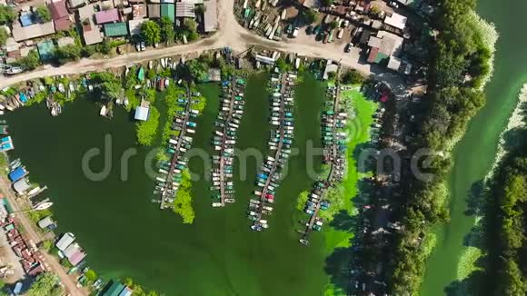 渔民村附近港口水域绿藻的高空作业视频的预览图