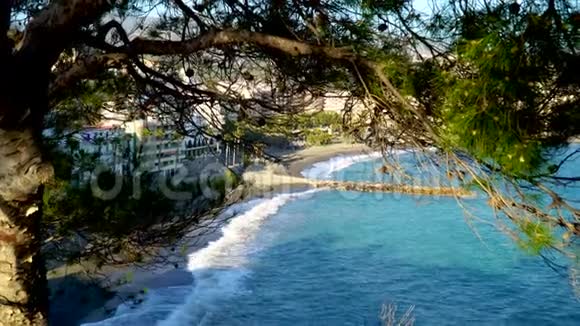树木和美丽的大海美丽的海景从棕榈树后面雄伟的蓝色大海在树后荡漾异国情调视频的预览图