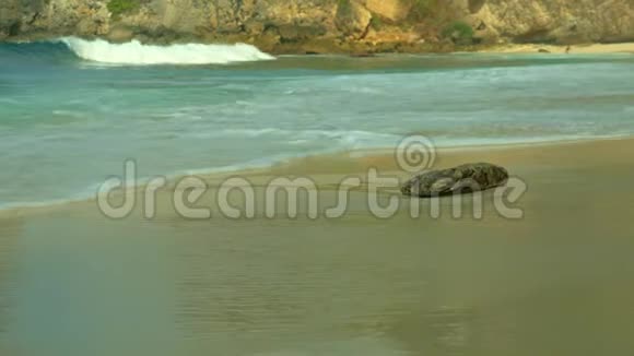 从海滨看美丽的风景海浪在天堂沙漠海滩岩石悬崖背景热带岛屿视频的预览图