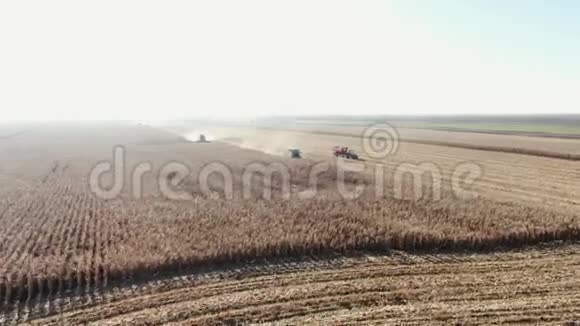 秋天用机器收割玉米农业和农业大犁在田里犁地视频的预览图