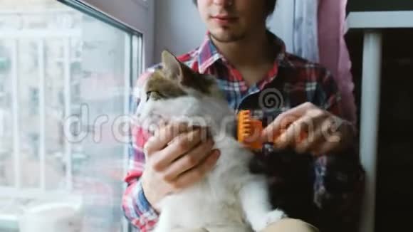 人梳理出一只白猫一个男人在家地板上看猫的皮毛视频的预览图