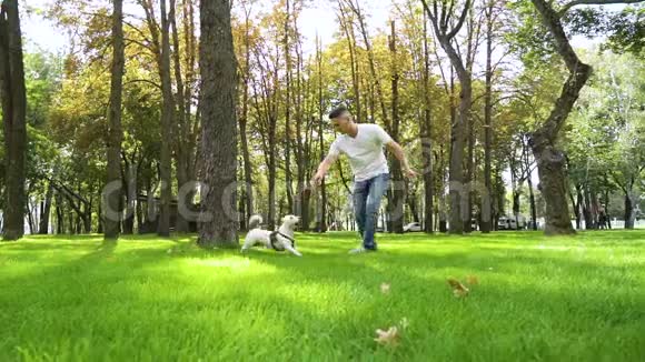 快乐的主人在夏日公园和他的纯种狗玩耍视频的预览图