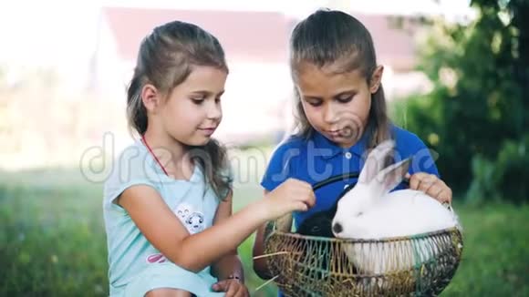 两个快乐的小女孩在户外玩得很开心和坐在篮子里的两个可爱的小兔子玩耍视频的预览图
