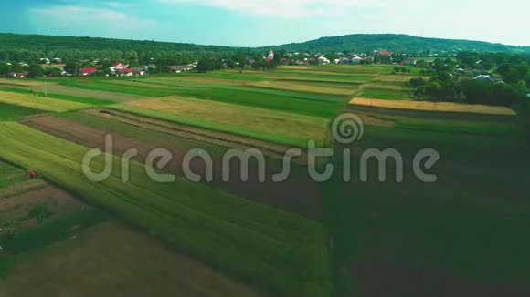 在阳光明媚的夏日鸟瞰一个小村庄农田绿地和草地在农村的农耕地4K视频的预览图