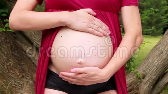 怀着双手的孕妇拥抱拥抱和抚摸他怀孕的腹部幸福的未来妈妈和父母正在等待宝宝视频的预览图