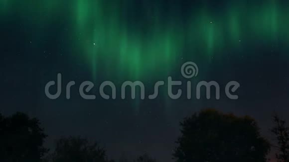 北极光北极光和星星在天空中剪影树木和夜晚的时间空间与绿色极光视频的预览图