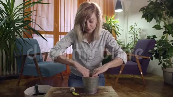 年轻妇女在现代家庭中种植和浇水一棵风信子视频的预览图