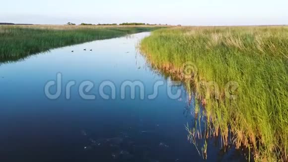 河流空中景观影院在绿色的田野上飞翔视频的预览图