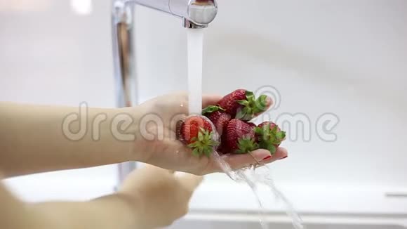 女人双手捧着新鲜草莓慢动作水视频的预览图