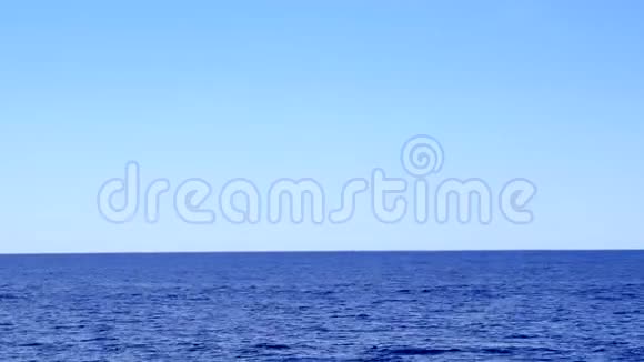 快艇在海上跨架高速行驶视频的预览图