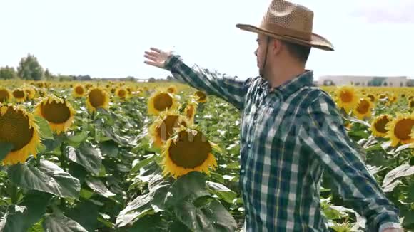 向日葵种植园展示的快乐农夫视频的预览图