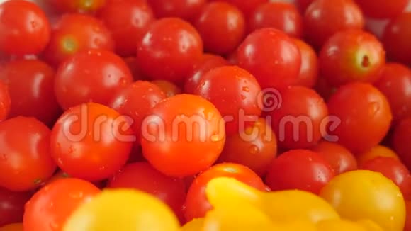 红黄鲜樱桃番茄视频的预览图