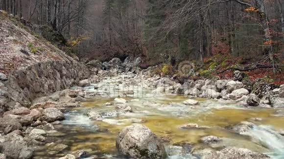 秋季阿尔普谷的风景水流视频的预览图