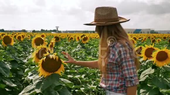 拇指向上快乐的农民女孩检查向日葵视频的预览图