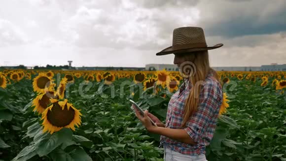 农夫女孩在平板电脑上输入太阳花种植园视频的预览图