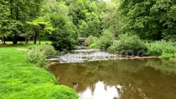 长满灌木和树木的宽阔河流视频的预览图