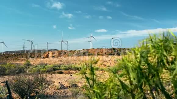 风车发电机绿色灌木植物在前景绿色能源风能的概念视频的预览图