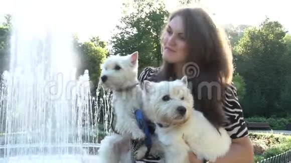 微笑的女人手里拿着宠物狗靠近公园的喷泉手持射击视频的预览图