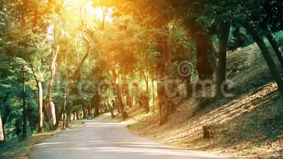 美丽夏季空绿的小路或公园路太阳和射线视频的预览图