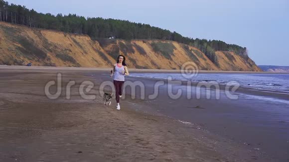 慢动作一个夏天的早晨穿着运动制服的年轻苗条的黑发女人和他的狗沿着沙滩奔跑视频的预览图