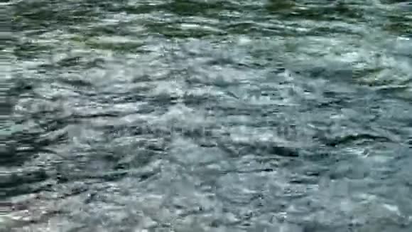 水流或河流或小溪流动的近景镜头4k视频的预览图